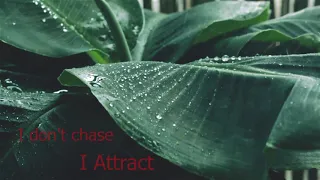 I don't chase, I attract Affirmation. Powerful Abundance anytime.