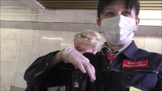 Контролёрша оштрафовала человека в метро с экземой рук за перчатки. Меня зовут работать в ГКУ.