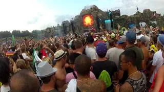 Hardwell - Live @ Tomorrowland 2013 - Boom, Belgium GO PRO Crowd Angle