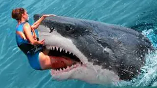 One of the WORST Great White Shark Attacks of All Time!