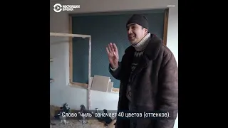 Андижанские высоколетные голубь 🕊