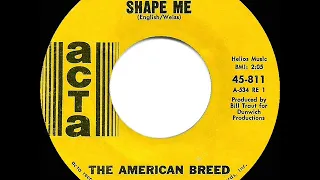 1968 HITS ARCHIVE: Bend Me, Shape Me - American Breed (a #1 record--mono)