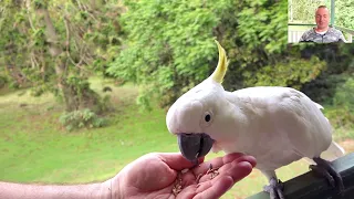 Жизнь в региональной Австралии Bunya Mt