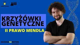 KRZYŻÓWKI GENETYCZNE - II PRAWO MENDLA - [Matura z biologii 2023 + studia] 👩‍⚕🧑‍⚕