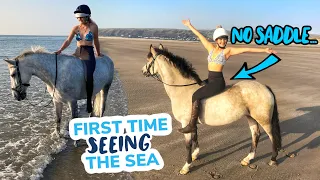 HORSES FIRST EVER TIME ON THE BEACH ~ Pony holiday, riding in the sea AND riding bareback