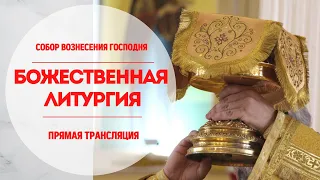 🔴Божественная Литургия.Прямая трансляция.