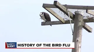 Clemson University poultry experts say bird flu worst outbreak in history