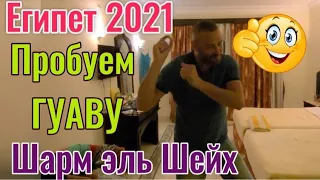 Египет 2021🌴Пробуем гуаву👍Шарм эль Шейх🏖 отель Viva Sarm