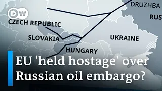 Ban on Russian oil imports would cross red line, says Hungary | DW News