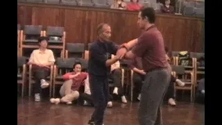 Great Grandmaster Ip Chun - Manchester 1997 - pt7