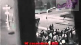 Timisoara 1989 -inceputul....sfarsitului