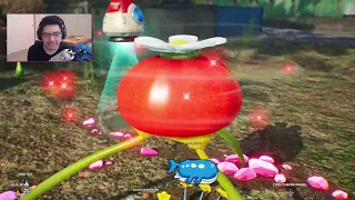 Pikmin 4 Part 2 🦑 FULL VOD 🦑