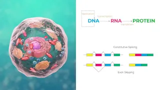 Transcriptomics 1: Introduction to RNA-Seq (bioinformatics analysis of gene and isoform expression)