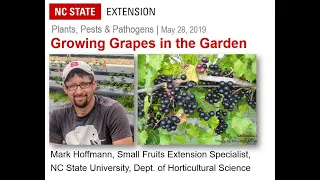 PPP May 2019 | How to Grow Grapes in NC