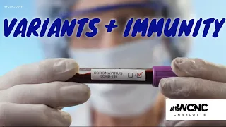 Does your COVID-19 immunity work against variants?