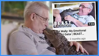 Meet The Emotional Support Alligator