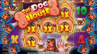 The dog house удачная бонуска | Parimatch