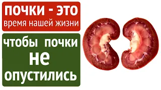 2 мин. чтобы почки не опускались. Посмотреть, запомнить, сделать 👍