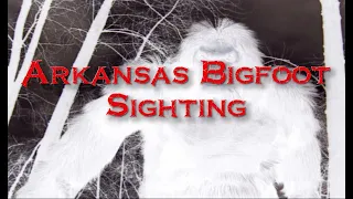 Arkansas Bigfoot Sighting | Real Reports