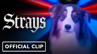 Strays: Exclusive Red Band Clip (2023) Will Ferrell, Jamie Foxx