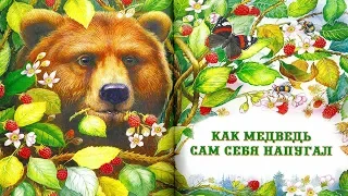 КАК МЕДВЕДЬ САМ СЕБЯ НАПУГАЛ | Николай Сладков | аудио сказка | Аудиосказки | Сказки на ночь онлайн