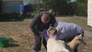 Czarne Błoto wiosna