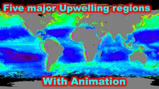 Ocean Upwelling regions in the world detailed explanation with Animation for UPSC