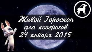 Гороскоп Козерог ♑ на 24 января от Зайки Zoobe