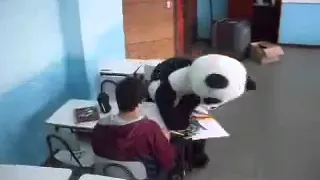 no le digas NO a panda