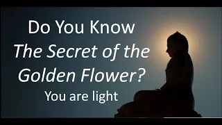 The Secret of the Golden Flower   Introduction