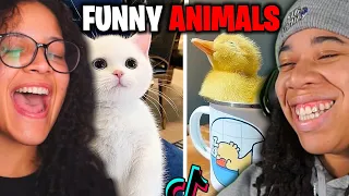 Cute Animals on Tik Tok That Will Make You Laugh