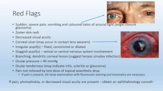 Red Eye in Primary Care