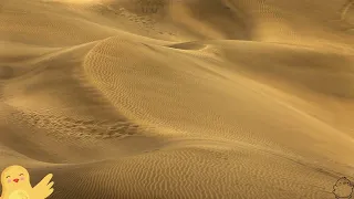 Windy Desert