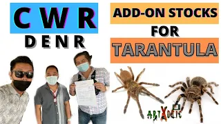 CWR and ADD-ON STOCKS Application for TARANTULA