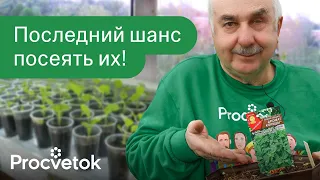 УСПЕЙТЕ ПОСЕЯТЬ ЭТИ ОВОЩИ ДО 10 МАЯ, иначе хорошего урожая не ждите!