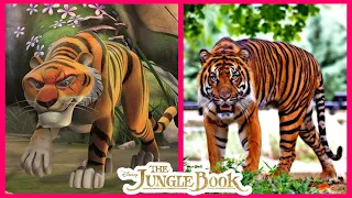 The Jungle Book Characters In Real Life  2021