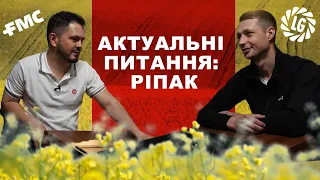 Актуальні питання щодо вирощування ріпаку