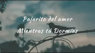 Carla Morrison - Pajarito del amor (letra)