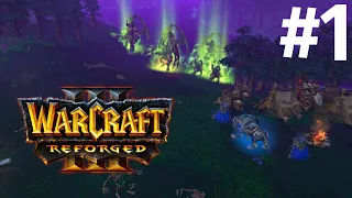 ВРАГ НА ПОРОГЕ! - КАМПАНИЯ НОЧНЫХ ЭЛЬФОВ! - КОНЕЦ ВЕЧНОСТИ! - ПРОХОЖДЕНИЕ Warcraft III: Reforged #1