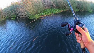 Evening Fishing on the Delta (Wednesday night tournament)