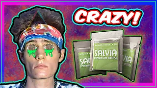 What 𝐒𝐀𝐋𝐕𝐈𝐀 Feels Like! INSANE Trip Report & The Science Behind It!
