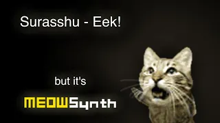 Surasshu - Eek! but it's MEOWSynth