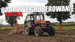 ✔Oporowe Gruberowanie 2022?!➜1014'Tką?!☆Czwórka Kopci jak Poj3bana?!✩Ogień?!🔥🔔Daniel12