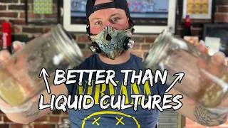 Master Slurry Culture | Liquid Culture... But Better! (Part 1)