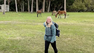 Day trip to Cumberland Island, GA to see the wild horses.