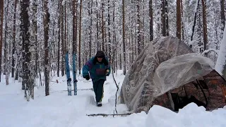 Тайга, палатка и Жулька.