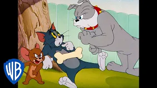 Tom y Jerry en Español | Dibujos Clásicos 34 | WB Kids