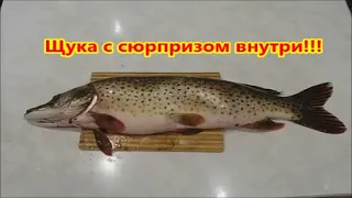 Щука с сюрпризом внутри !!!