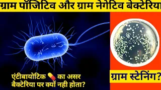 Gram positive and gram negative bacteria in hindi||gram staining of bacteria|gram positive negetive