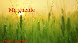 Ma gueule -  Johnny Hallyday  (Paroles)